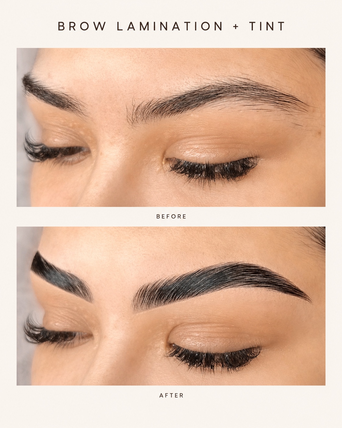 Brow Lamination + Tint before & after by Riça at Dani Esthetics